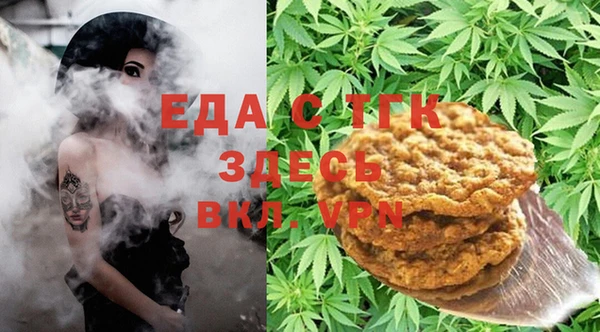 мет Алексин