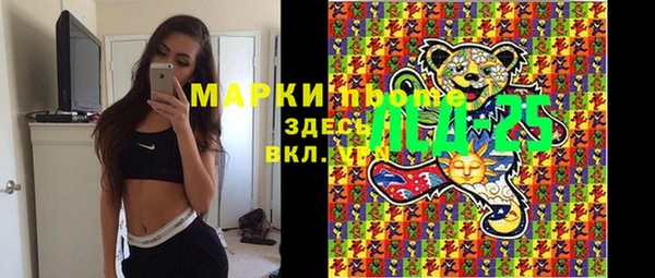 мет Алексин