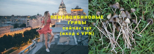 2c-b Алзамай